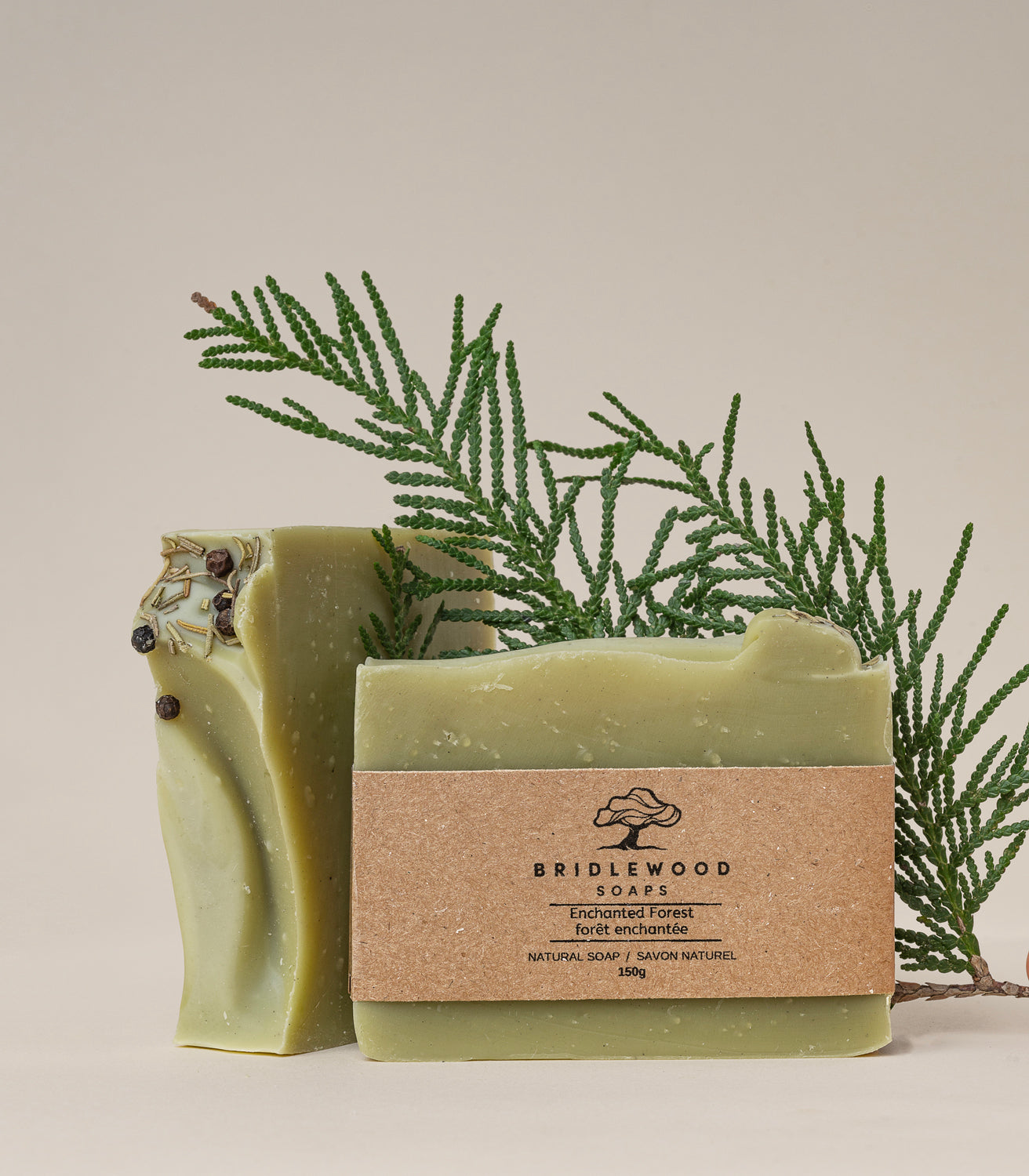 Enchanted Forest Soap Bar