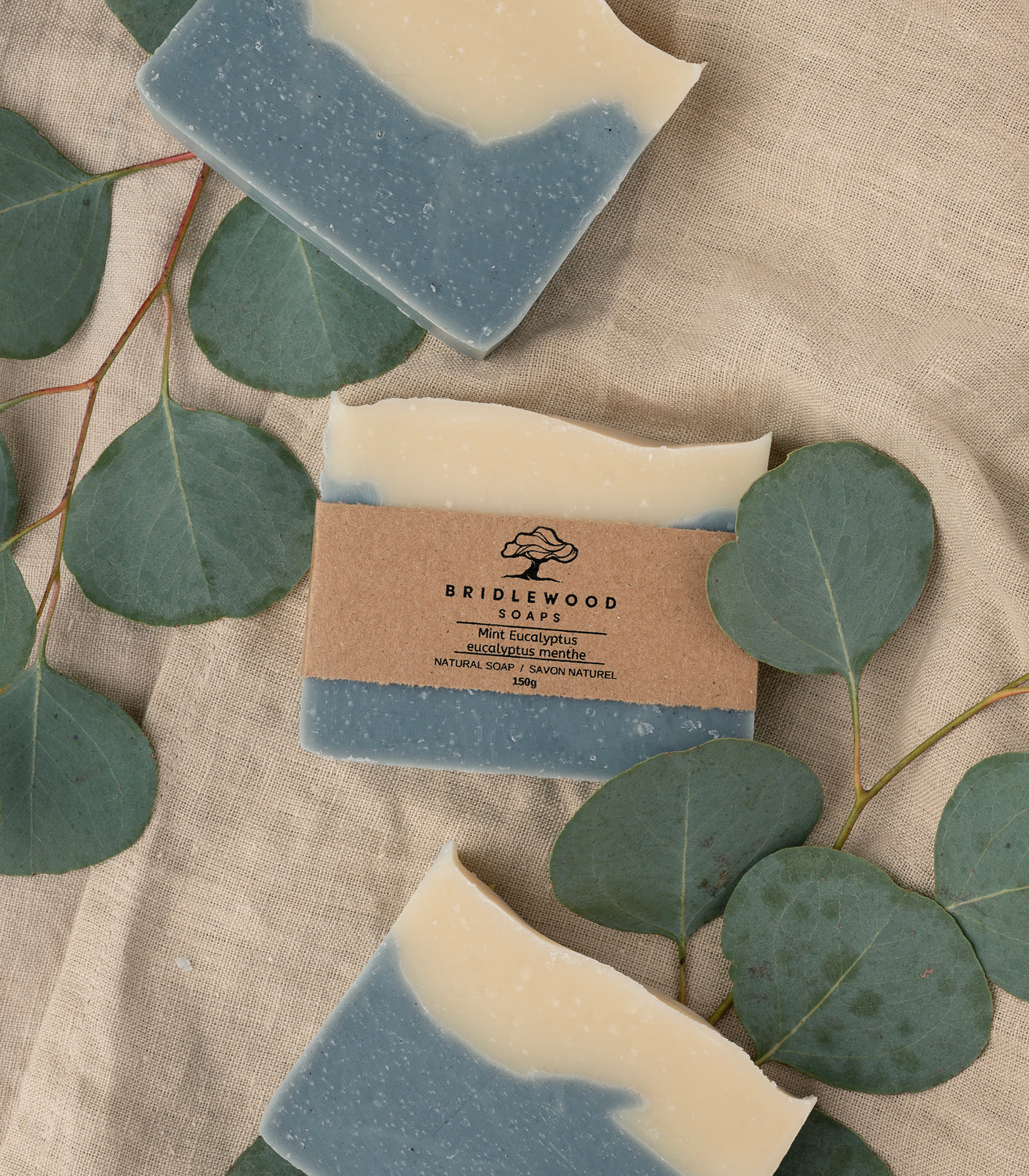 Mint Eucalyptus Soap Bar